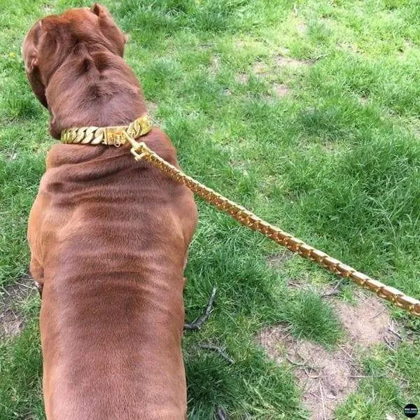 CUBAN GOLD LEASH