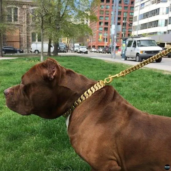 CUBAN GOLD LEASH
