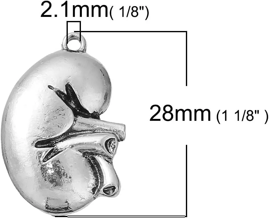 Sexy Sparkles Medical Anatomical 3D Charm Pendant ?C Unisex Accessory for Necklaces, Bracelets, and Keychains